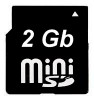 miniSD 2 Gb